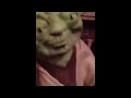 yoda tells a funny joke meme