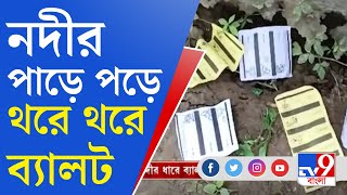 Nadia News: নদিয়ার কৃষ্ণগঞ্জে নদীর পাড়ে পড়ে থরে থরে ব্যালট