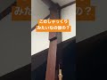 この声だれの？森に響くしゃっくり