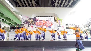 [4K] 心蕾万笑　泉州YOSAKOI ゑぇじゃないか祭り 2019