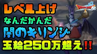 【ドラクエ10】レベル上げ！闇のキリンジで玉給250万超え！！