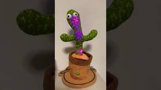 dancing cactus 搖擺仙人掌