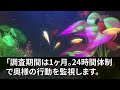 【修羅場】妻「アンタとはしたくない！」半年以上俺をシカトする妻から衝撃の一言…→俺が離婚を切り出すと手の平を返した汚嫁に逆シカトして制裁を下した！