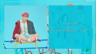 【韓繁中字】Jungkook(BTS) - Euphoria