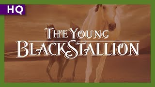 Young Black Stallion (2003) Trailer