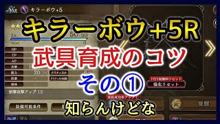 【幻影戦争】キラーボウ+5アサルトをリベンジ育成しつつカンストさせるコツを話す！【FFBE幻影戦争】