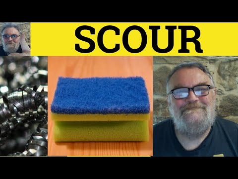 How do you use scoured in a sentence?