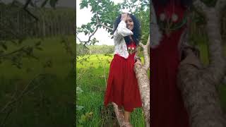 പൂവേ സെമ്പൂവേ cover song ❤❤