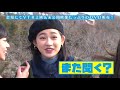 hello projectが行く！ナルチカ日帰り里山旅2018 pr映像