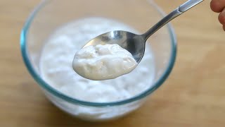 How To Make Coconut Yogurt At Home - Homemade Coconut Milk Curd -  Dairy Free Cu