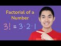 Find the Factorial of a Number In Python(Iterative v.s Recursion)