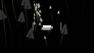 smart rocket with Genetic Algorithm #madewithUnity