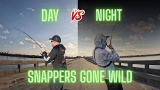 Florida Keys | Day vs Night CRAZY Snapper Fishing