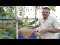 70 atm compost కంపోస్టు atm లాగా 24 7 365days easy ga try చేయవచ్చు organic natural terracegarden.