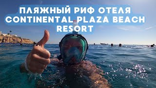 Морской Риф в Отеле Continental Plaza Beach Resort, Egypt, Шарм-Эль-Шейх, НАПОЛЕОН,МУРЕНА,СКАТ, ИГЛА