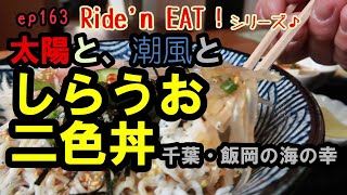 ep163【新鮮しらうお二色丼】千葉県・飯岡漁港の海の幸、しらす・しらうおを丼ぶりでかっこみます！有名店「しらす亭」でツーリング・ランチ！