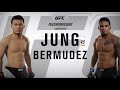 UFC Chan Sung Jung VS Dennis Bermudez