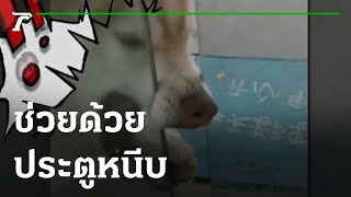 ช่วยด้วยประตูหนีบ | 20-01-65 | ตะลอนข่าว