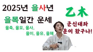 2025년 을사년(乙巳年) 을목(乙木) 일간 신년운세입니다.