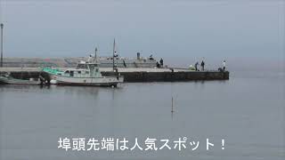 西伊豆・釣り場紹介①　　　土肥温泉