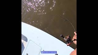 PERFECT CAST OFF SHALLOW SKIFF! (Buggs Fishing Lures)