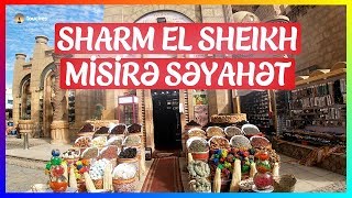 Sharm El Sheikhdə təbii bitkilərin insan üçün hansı faydaları var?  Misirə Səyahət 😋