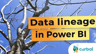 Which reports are using my model? Data lineage in Power BI