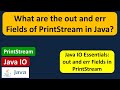 What are the out and err Fields of PrintStream in Java? | Java IO | Java Tutorial