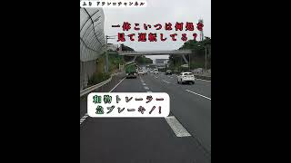 危険な車線変更をして派手な和物トレーラーにフルホーンを鳴らされ撃退されるアホ過ぎるサンデードライバー…