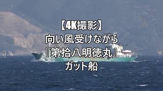 【4K撮影】向い風受けながら『第拾八明徳丸』ガット船