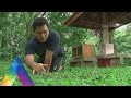 DUNIA BINATANG - KEKUATAN DUNIA REPTIL (2/5/16) 3-3