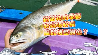 【漁人推介】香港水域，阿火帶大家出海釣魚，釣黃祥的季節，大大條過足手癮，好玩唔好食？用風乾機可以製作梅香鹹魚？Catch and Cook, Fish Recipe Salted fish