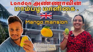 யாழில் பிரமாண்டமான பல வசதிகளுடன் மாம்பழ மாளிகை | Mango Mansion | Jaffna | லண்டன் தமிழன்🔥| London.