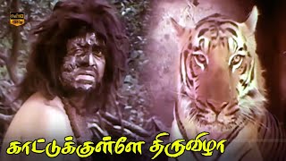 Kattukulle Thiruvizha Movie | Super Hit Thriller Scenes | Vijayendra, Viji | HD Video