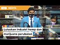 Kerajaan wajar luluskan pengunaan hemp, marijuana untuk perubatan, kata Syed Sadiq