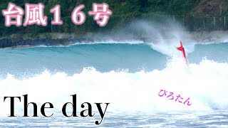 【The dayが来た】台風16号のロングボードセッション！ぴろたんも吹き飛ぶ？！