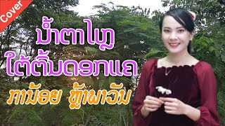 ນ້ຳຕາໄຫຼໃຕ້ຕົ້ນດອກແຄ - ການ້ອຍ ຫຼ້າພາວັນ น้ำตาไหลใต้ต้นดอกแค - กาน้อย หล้าพาวัน [Cover Audio]