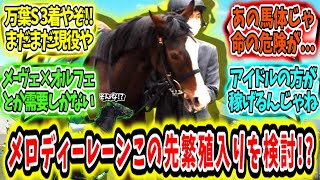 『メロディーレーンの繁殖入りが検討されている!?』に対するみんなの反応【競馬の反応集】