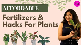 Most Affordable DIY Fertilizers & Hacks For Plants I HerZindagi