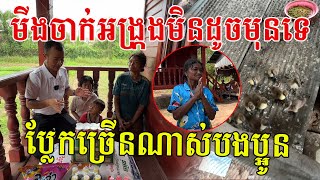 មីងអង្រ្កងពេលនេះមិនដូចមុនទេ មើលប្លែកច្រើនណាស់បងប្អូន ភូមិឋានគាត់គួរឱ្យស្រលាញ់ បរិស្ថានស្អាត