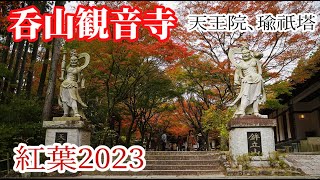 【紅葉2023】紅葉まつりと秋の特別拝観!!ぶらり旅 第407回 「福岡県:呑山観音寺」 -アクセス,駐車場,混雑,紅葉,天王院,瑜祇塔-Nomiyamakannonji Temple,autumn