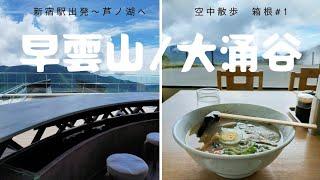 【大涌谷】ロマンスカーカフェ/新宿/電車/箱根/カフェ/ラーメン/早雲山/ロープウェイ