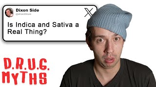 Debunking Drug Myths: Volume 2