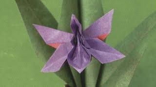 Origami Munich Orchid (HD)- زهرة الاوركيد