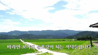 [영상기자단] 전봇대가 없는 위천면 서덕들_이창준