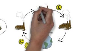 How Carbon Credits Work In Less Than 2 Minutes - Qiewie