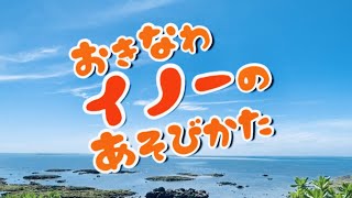 イノーの遊び方・子ども達と遊ぶ沖縄のサンゴ礁