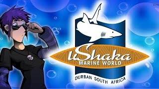 TRIP TO USHAKA MARINE WORLD!!!