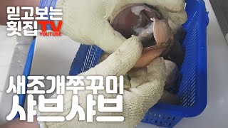 [ 횟집실장님 ] 겨울제철 새조개 쭈꾸미 샤브샤브 손질방법 손쉽게 새조개 손질할수잇습니다.