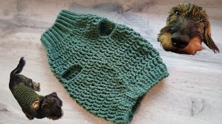 Easy Sweater For a Dog (Crochet Tutorial)